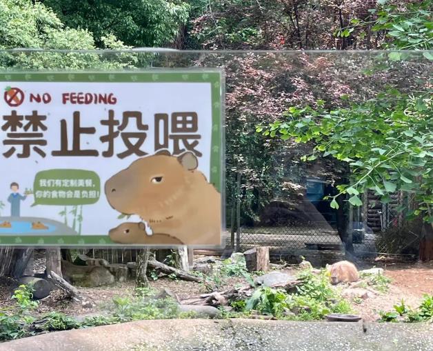 動物園警示牌